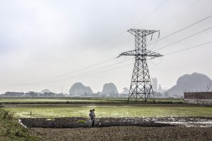 Ninh Binh, Vietnam - March 4, 2016: A farmer is working on the field at Ninh Binh, Vietnam. In the background is a  High-voltage line and the famous rocks of Ninh Binh.