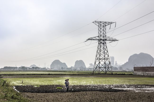 Ninh Binh, Vietnam - March 4, 2016: A farmer is working on the field at Ninh Binh, Vietnam. In the background is a High-voltage line and the famous rocks of Ninh Binh.